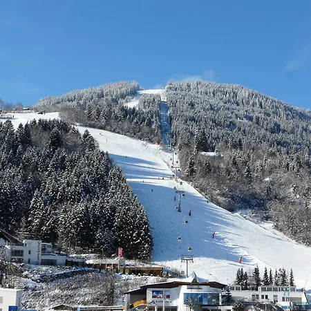 Die Alpenrose Niedernsill