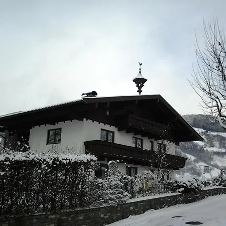 Die Alpenrose * Niedernsill