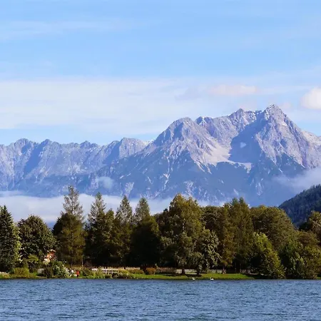 Die Alpenrose Niedernsill